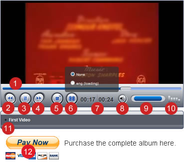 Player Interface