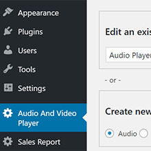 WordPress Plugin
